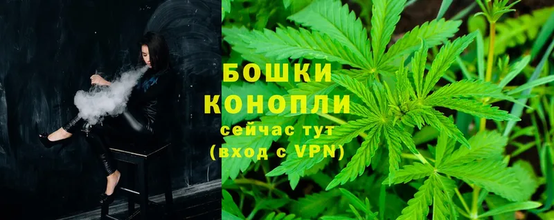 Бошки марихуана OG Kush  закладка  Будённовск 